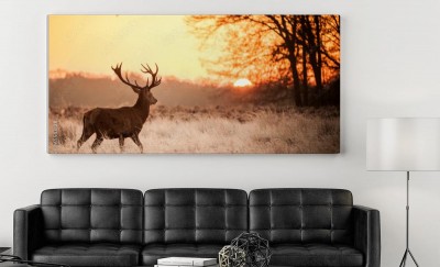 Obraz na płótnie Jeleń na tle zachodzącego słonca