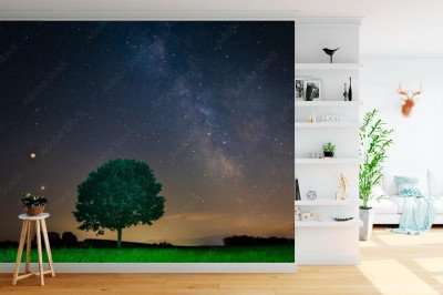 Fototapeta Droga Mleczna z samotnym drzewem na wzgórzu