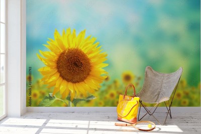 Fototapeta Słoneczniki na zamazanym pogodnym tle