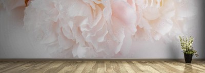 Fototapeta Biały kwiat dla romantyków