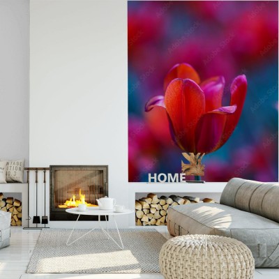 Fototapeta Rozmyte czerwone tło z kwitnących tulipanów