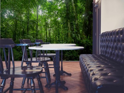 Fototapeta Tropikalny krajobraz lasu deszczowego w Amazonii