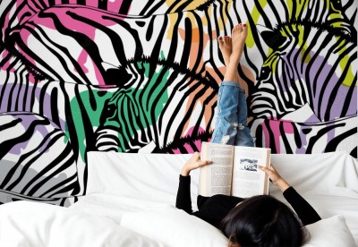 Fototapeta Kompilacja różnokolorowych zebr