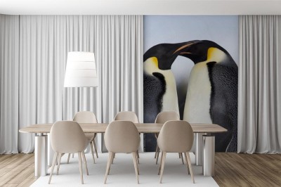 Fototapeta Pngwiny Emperor