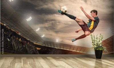 Fototapeta Strzał z woleja