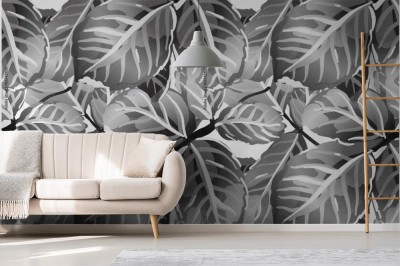 Tapeta Czarno-białe liście Monstery