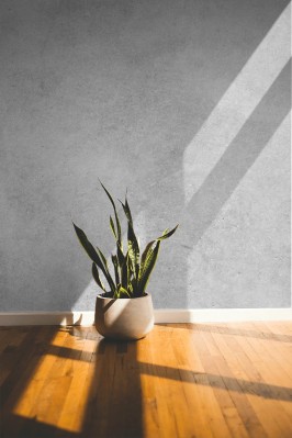 Fototapeta Beton architektoniczny