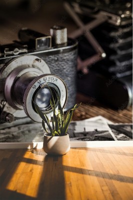 Fototapeta Sprzęt do fotografii