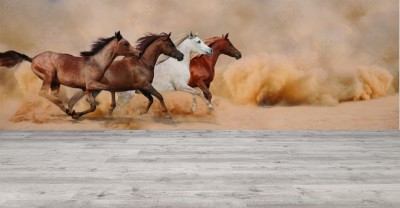 Fototapeta Stado koni galopuje w burzy piaskowej