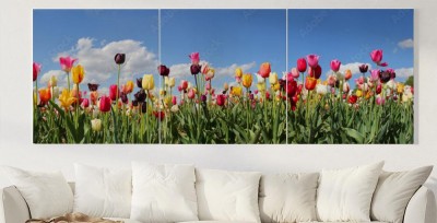 Obraz na płótnie Panorama pola tulipanów - różne odmiany