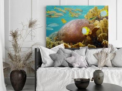 podwodna-rafa-koralowa-ze-skala-rybna