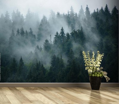 Fototapeta Mglisty krajobraz z jodłowym lasem w hipsterskim stylu retro vintage