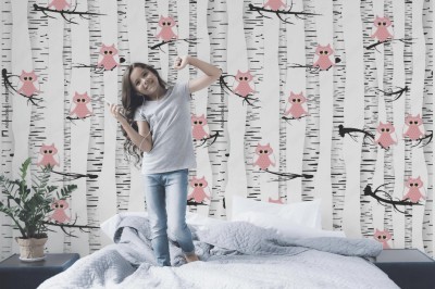 Fototapeta w różowe sowy siedzące  na brzozie