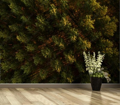 Fototapeta Wierzchołki drzew z lotu ptaka