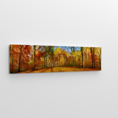 lesna-panorama-w-kolorach-jesieni