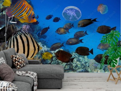 Fototapeta Podmorskie życie ryb