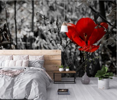 Fototapeta Czerwony kwiat