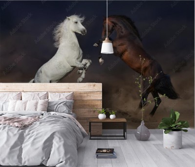 Fototapeta Dwa konie stojące dęba