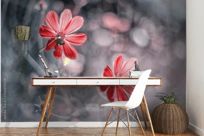 Fototapeta Kwiaty w moim ogrodzie