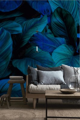 Fototapeta Tropikalne liście z niebieskim odcieniem