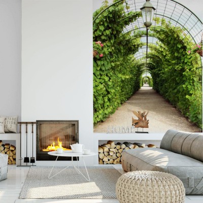 Fototapeta Tunel do uprawy winorośli