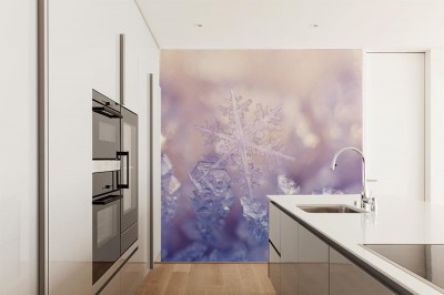 Fototapeta Zimowe Kwiaty