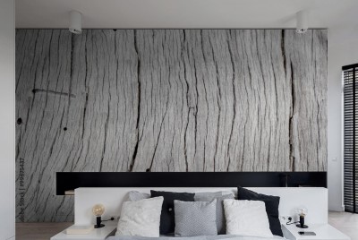 Naklejka na szafę Stary pień drzewa