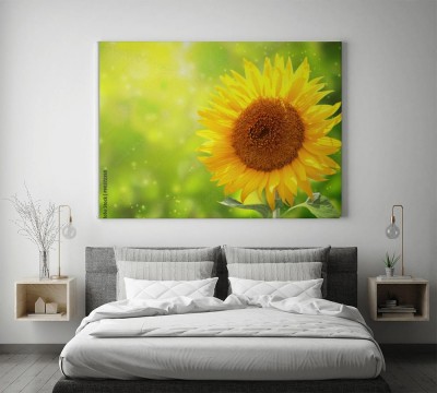 Obraz na płótnie Jasny żółty słonecznik na zielonym tle