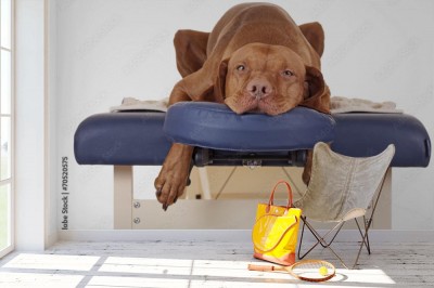 Fototapeta Czekam na mój masaż