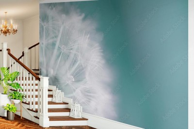 Fototapeta Dandelion dandelion makro- tło