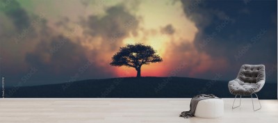Fototapeta Drzewo i zachodzące słońce