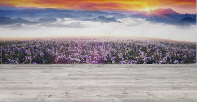 Fototapeta Mglisty wschód słońca w Karpatach