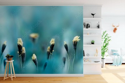 Fototapeta Poranne pole na wiosnę