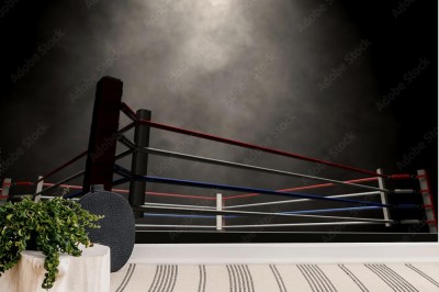 ring-bokserski-oswietlony-ciemnymi-punktami