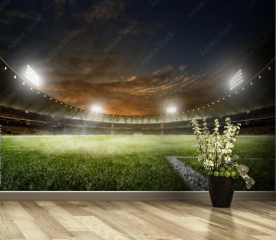 Fototapeta Stadion piłkarski z nocnym oświetleniem