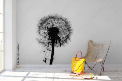 Fototapeta Czarno-białe foto dmuchawca