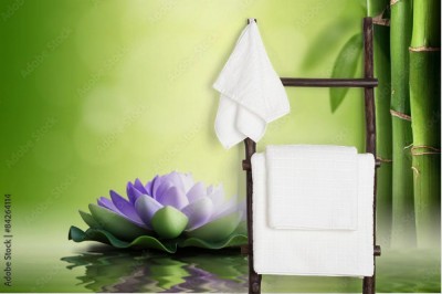 Fototapeta Koncepcja Zen  Purpurowy lotos w bambusowym lesie