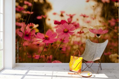 Fototapeta Pastelowe kolory kwietnej łąki