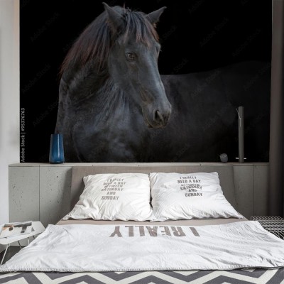 Fototapeta Portret czarnego konia