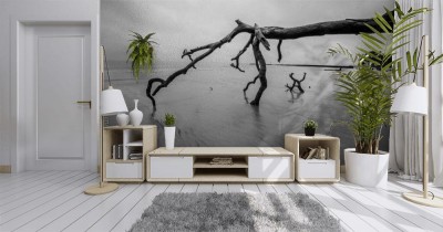 Fototapeta Drewno w wodzie