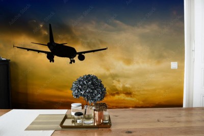 Fototapeta Piękny widok sylwetki samolotu