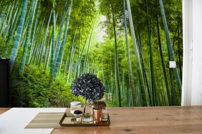 Fototapeta Spacer przez Bambusowy Las