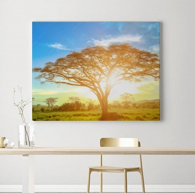 Obraz na płótnie Afrykańskie drzewo akacji