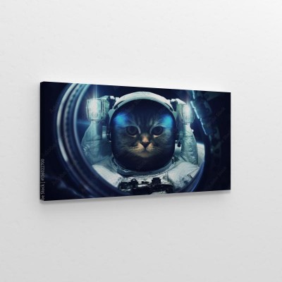 Obraz na płótnie Kot w kosmosie