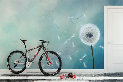 Fototapeta z dmuchawcem na pastelowym tle