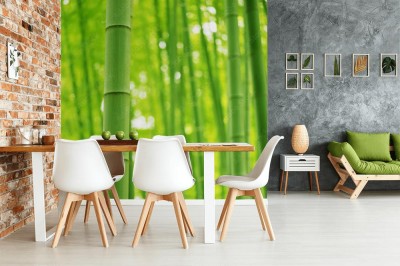 Fototapeta Las Bambusowy