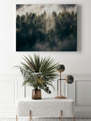 Obraz na płótnie Las Teutoburski we mgle