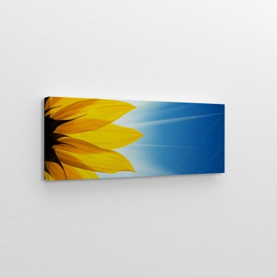 Obraz na płótnie Słonecznikowy kwiat ze światłem słonecznym na nieba tle błękicie