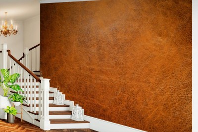 Fototapeta Brązowa skura