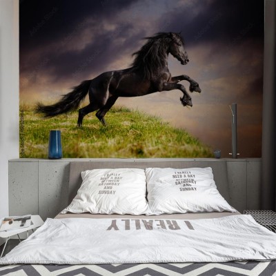 Fototapeta Galopujący koń fryzyjski